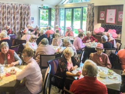 High tea, bras, knitting and laughs for a good cause