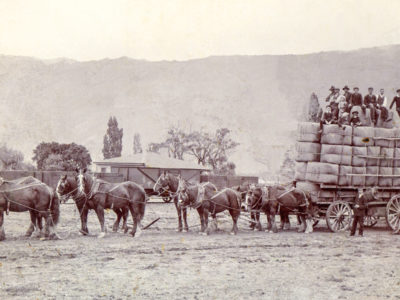 Early Transport of goods